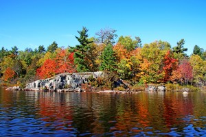 Fall Colors On  Rocky River Shore